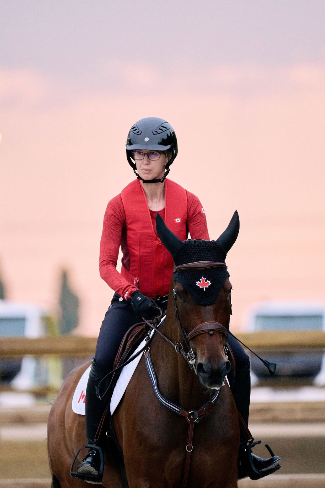 Ride Safer, Ride Better - EqiSafe